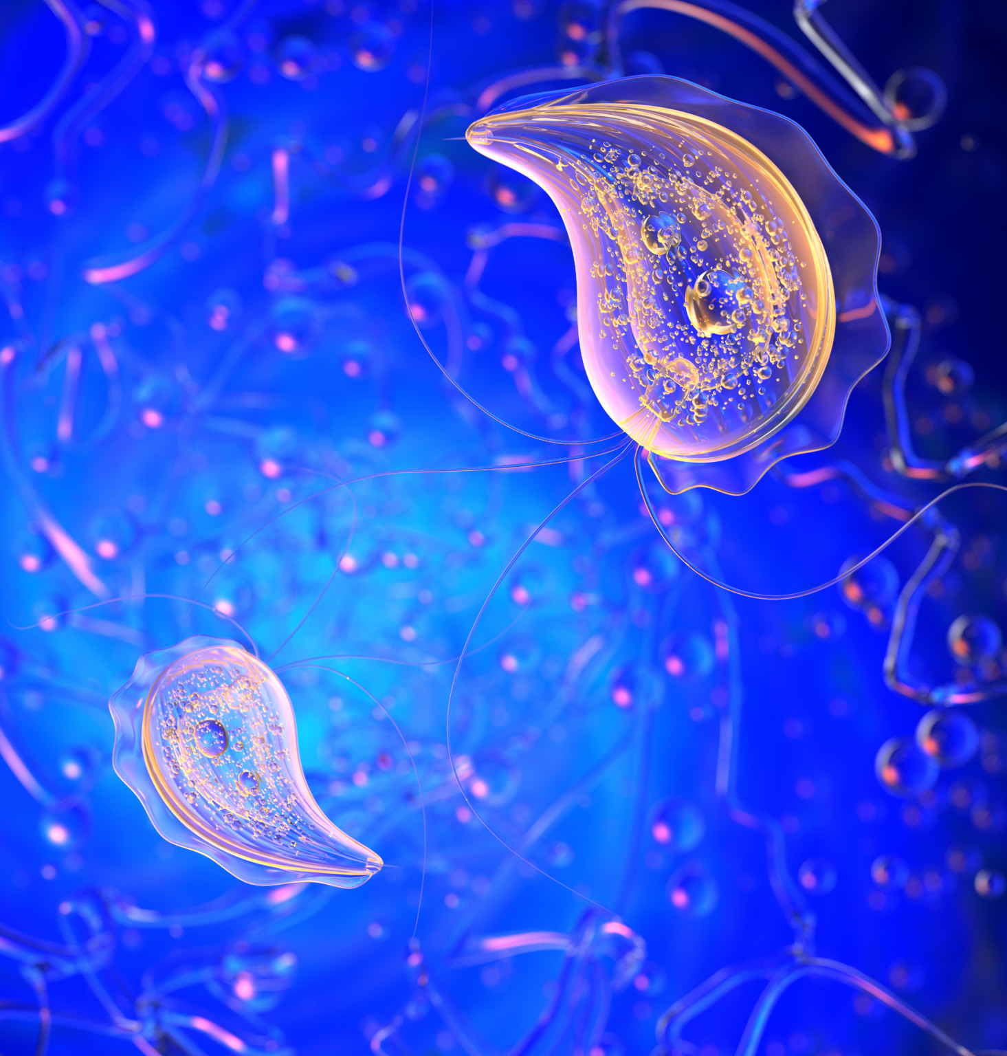 Vitamin Shoppe Parasite Cleanse - gtxgakl